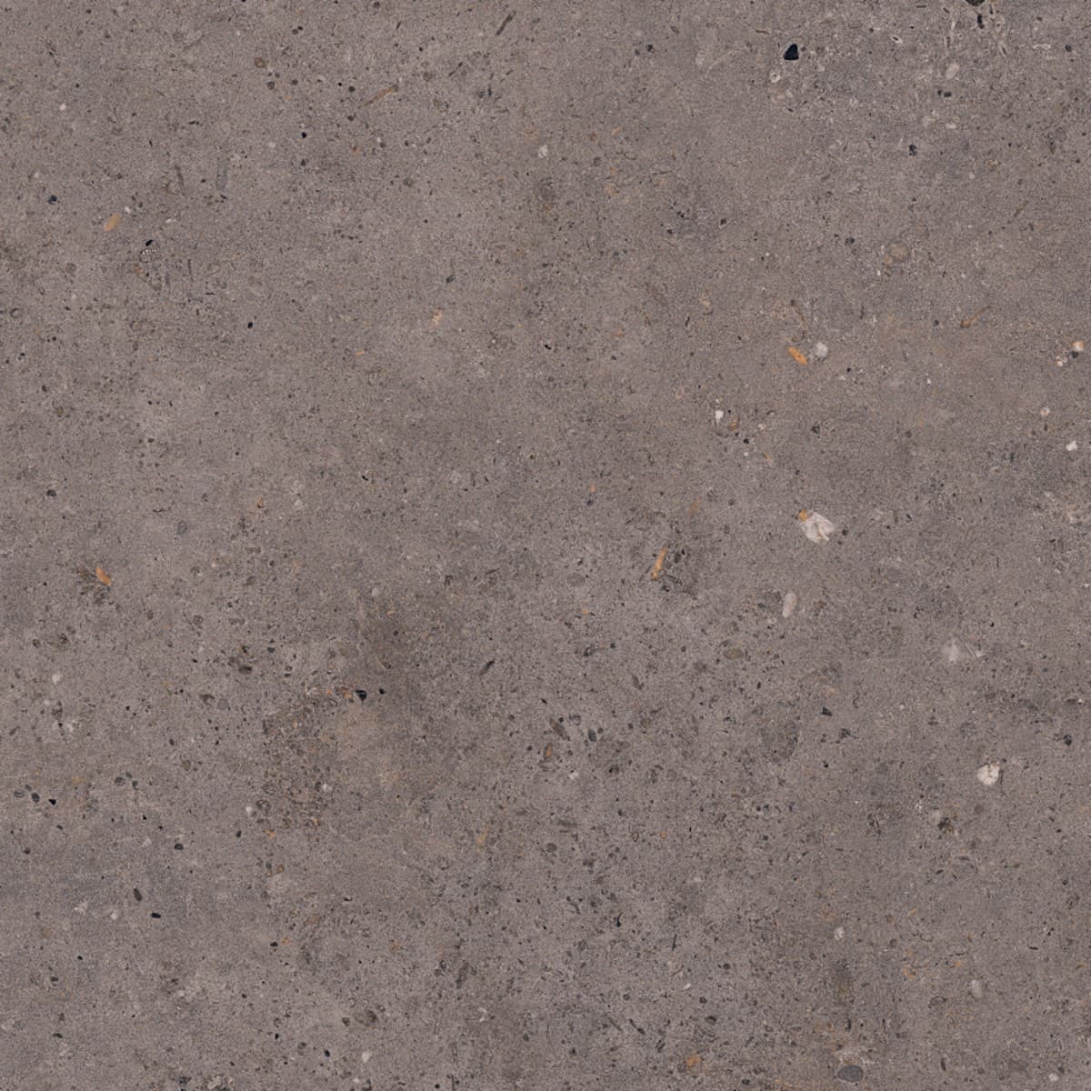 Biophilic dark grey 60x60 8