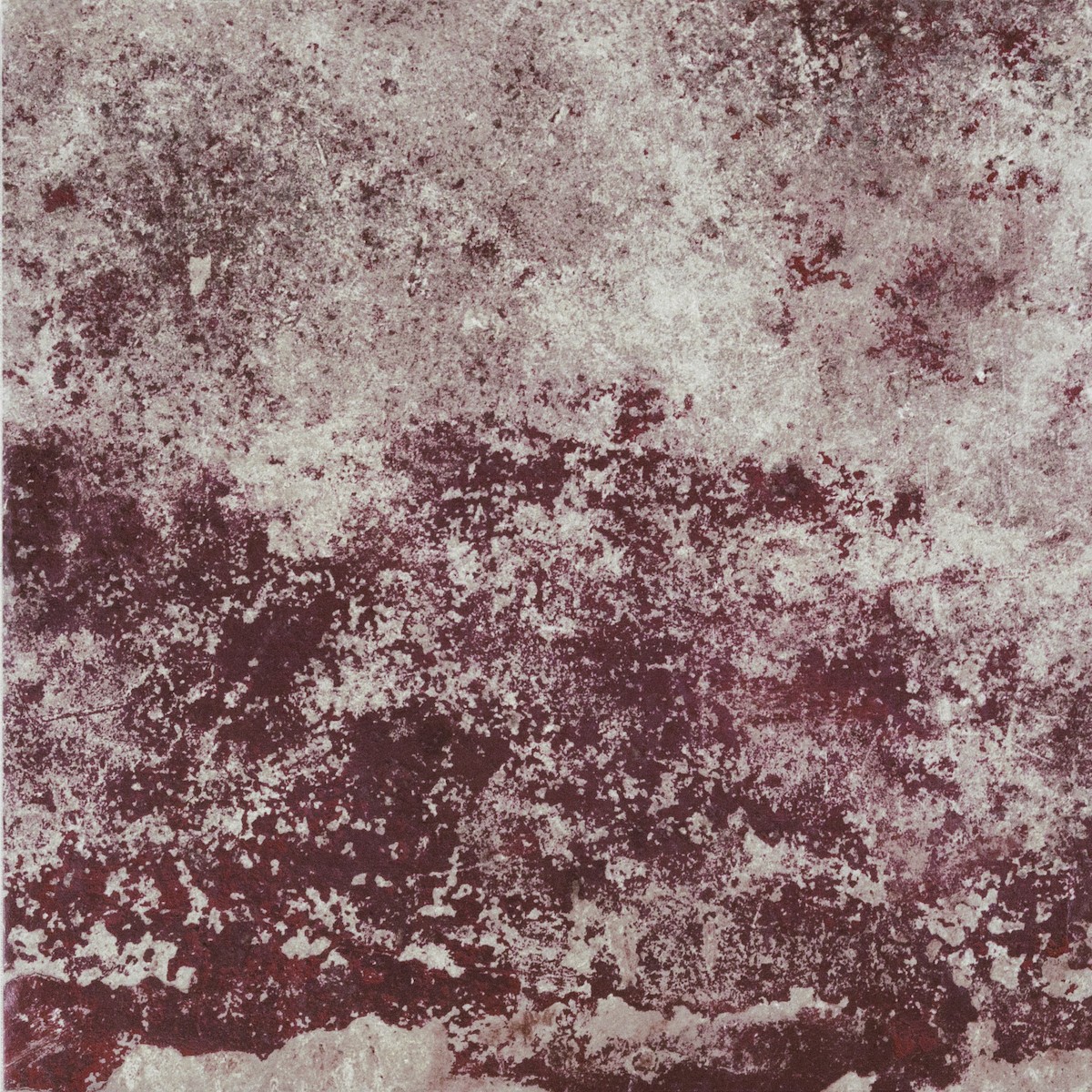 Dlažba Cir Molo Audace rosso d´amante 40x40 cm mat 1067984 Cir