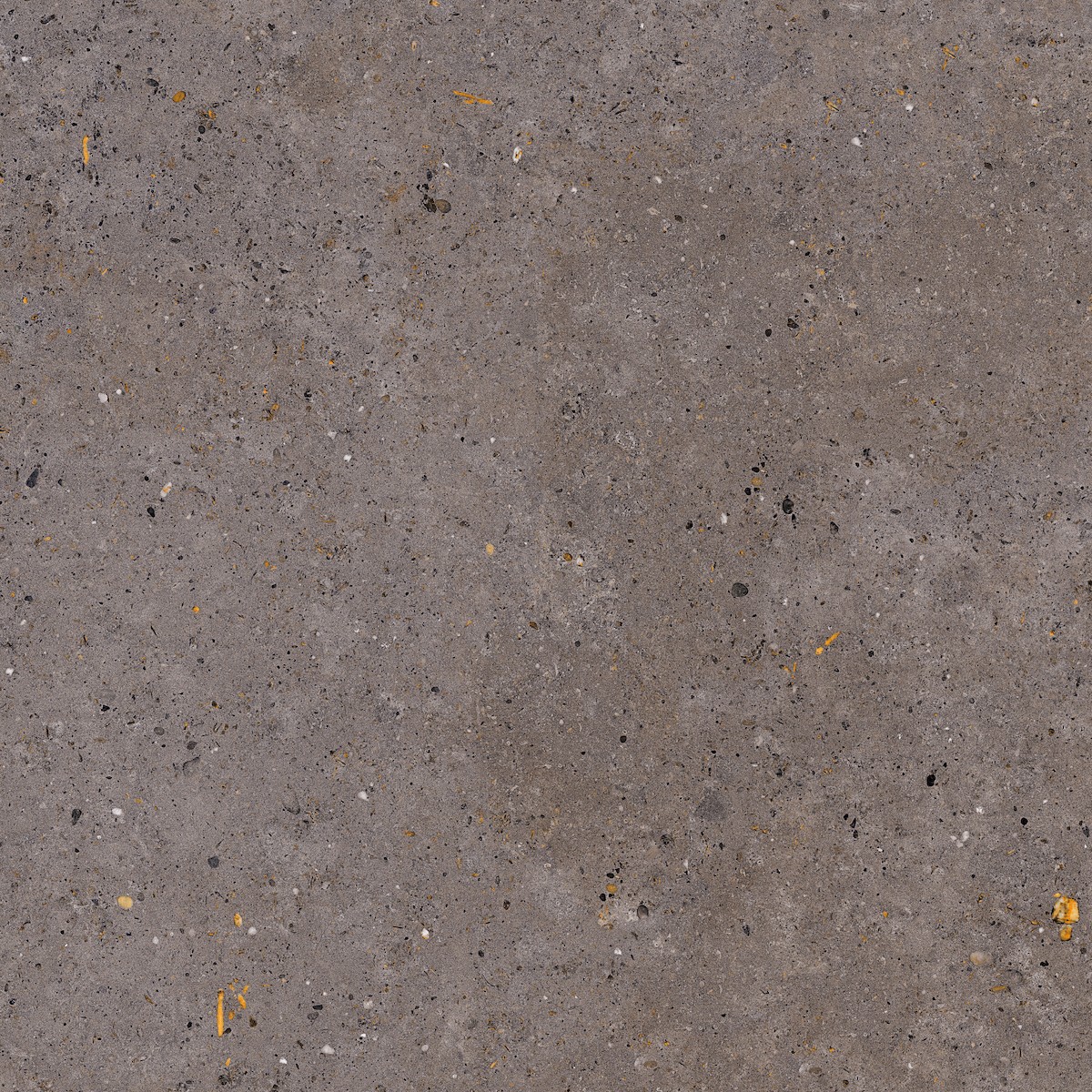 Dlažba Pastorelli Biophilic dark grey 120x120 cm mat P009412 Pastorelli