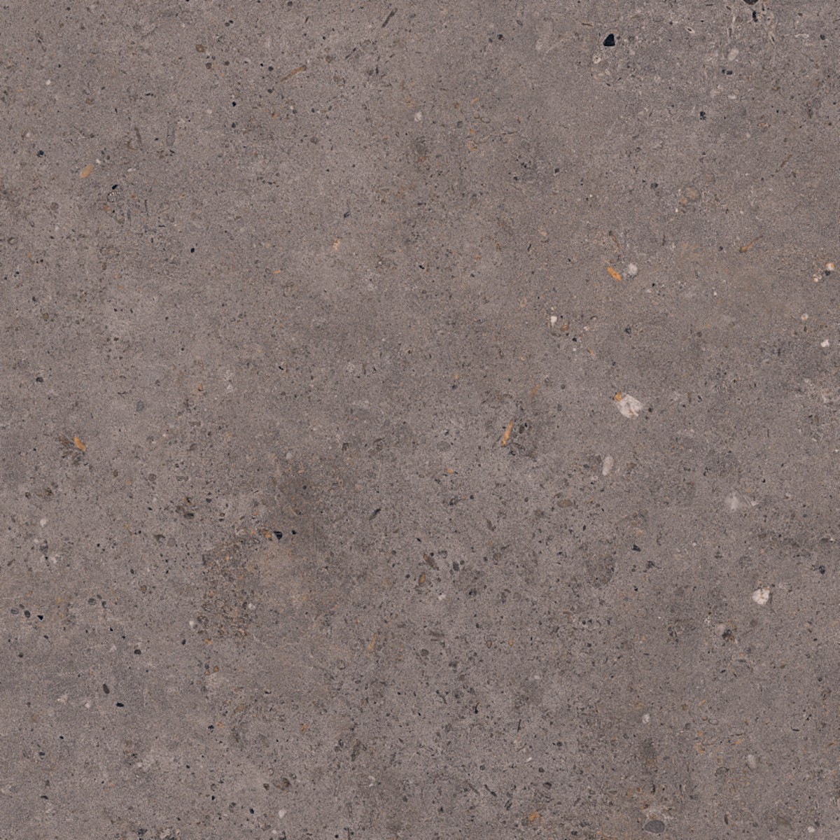 Dlažba Pastorelli Biophilic dark grey 60x60 cm mat P009460 NO BRAND