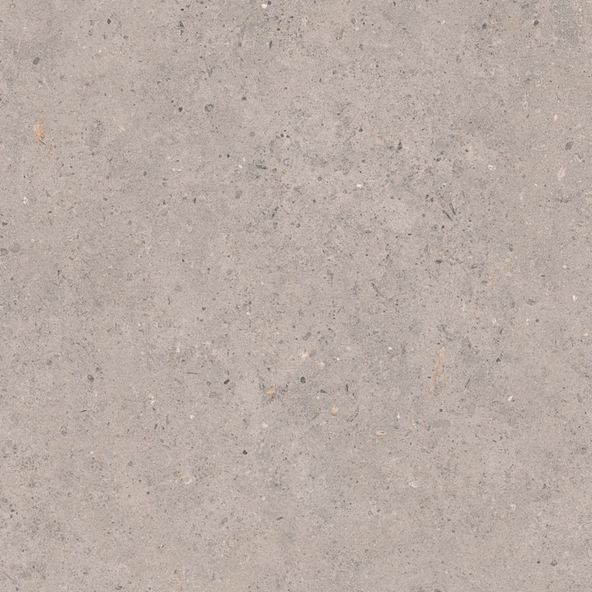 Dlažba Pastorelli Biophilic grey 60x60 cm mat P009455 NO BRAND