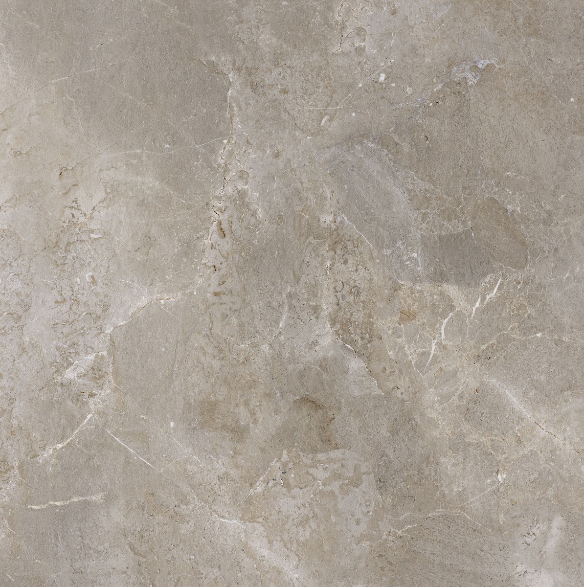 Dlažba Porcelaingres Royal Stone palladium grey 60x60 cm mat X600382X8 Porcelaingres